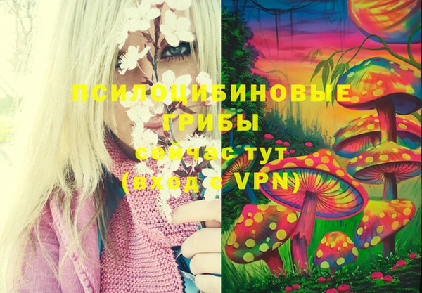 мдпв Струнино
