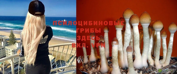 твердый Алексеевка