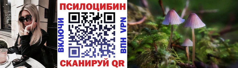 Галлюциногенные грибы Cubensis  Белово 