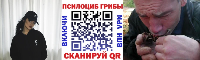 Псилоцибиновые грибы MAGIC MUSHROOMS Белово
