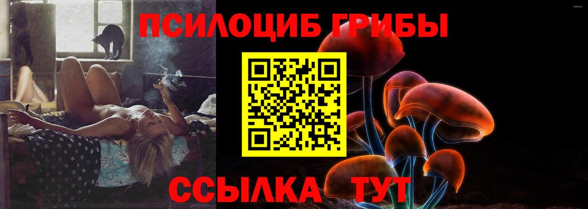 Галлюциногенные грибы прущие грибы  Вход с VPN  Белово 